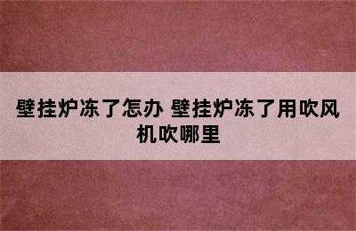 壁挂炉冻了怎办 壁挂炉冻了用吹风机吹哪里